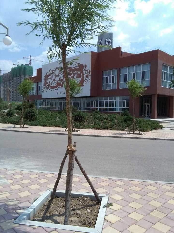 在赤峰红旗中学就读是一种怎样的体验?