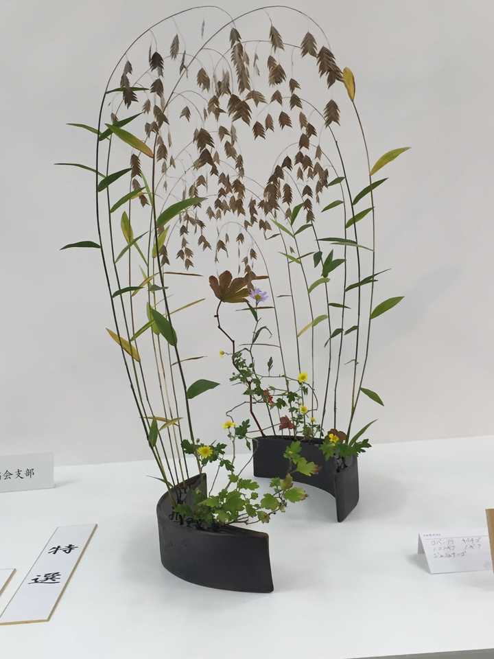 不同花瓶应该如何插花 匿名用户的回答 知乎 不同花瓶应该如何插花 匿名用户的回答 知乎