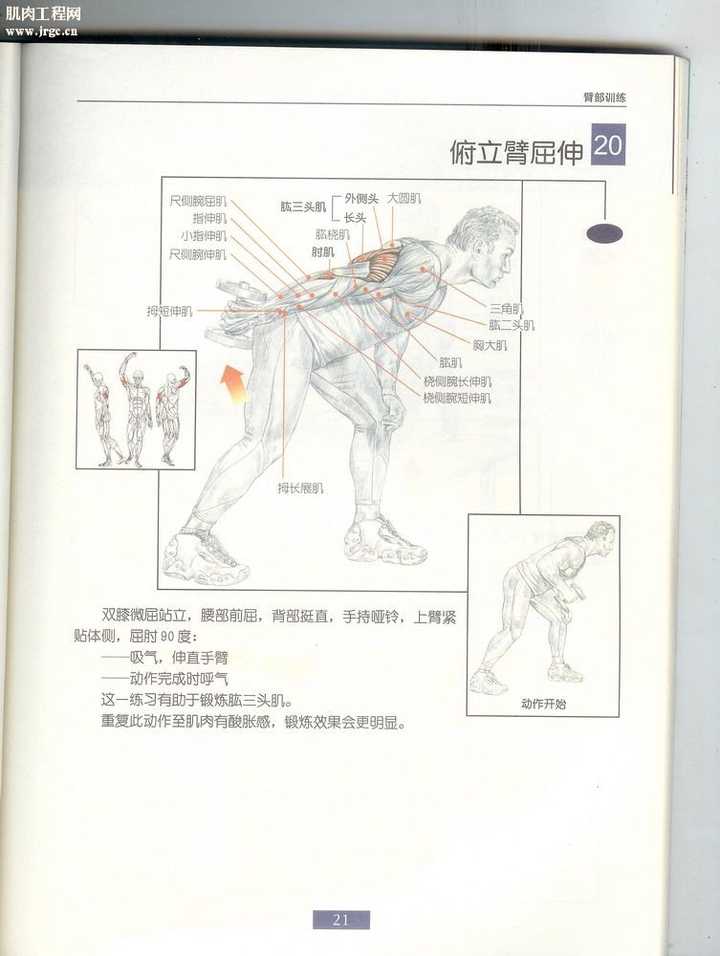 在家里买什么器械用什么方式能较好锻炼到肱三头肌?