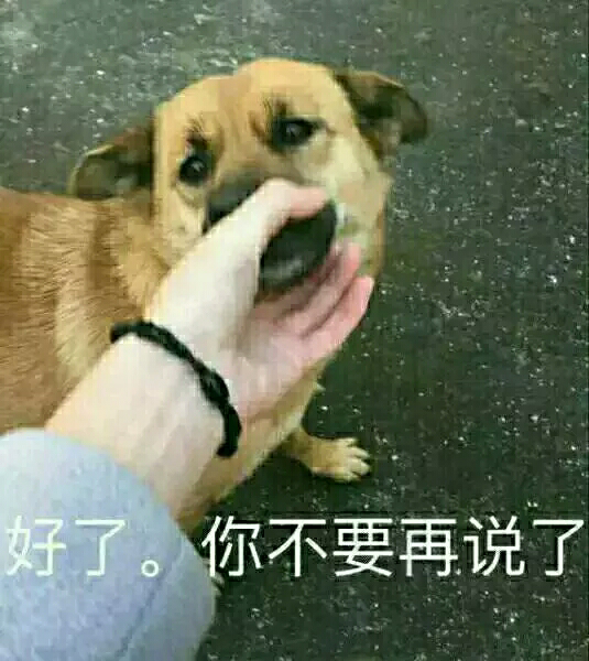 学医的去看病是什么体验?