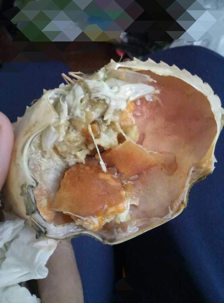 哪种螃蟹最适合吃肉?