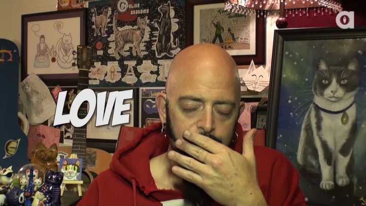 跟猫对视猫会有什么反应 知乎