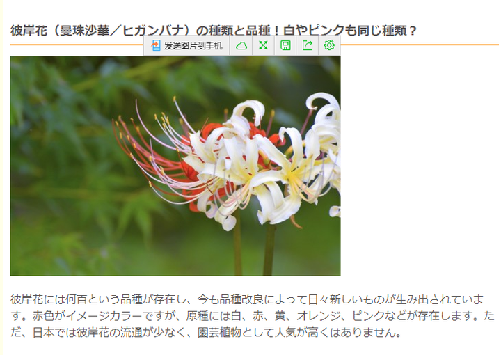 彼岸花 曼殊沙华 曼陀罗之间是什么关系 平如衡的回答 知乎