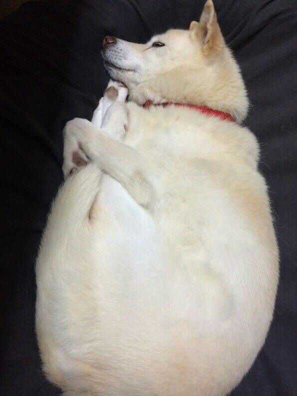 如何评价电影《魔轮》?