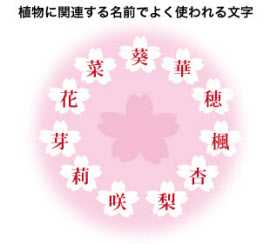 日本人是怎么取名字的 其起名有何变迁或禁忌 知乎 日本人是怎么取名字的 其起名有何变迁或禁忌 知乎
