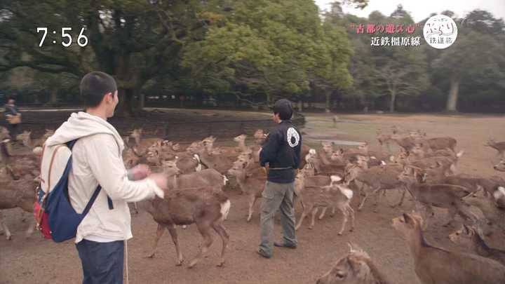 有哪些好看的nhk 纪录片 知乎