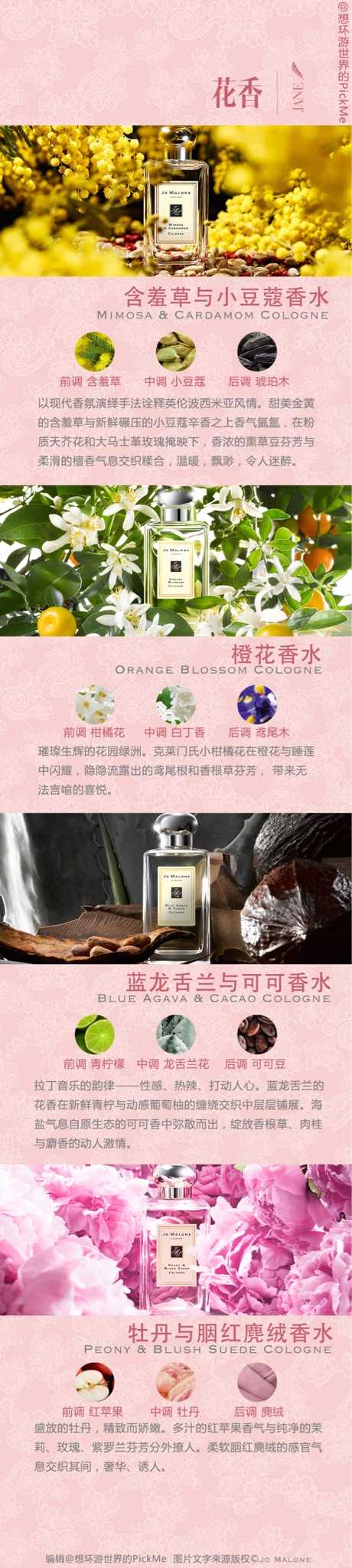 祖马龙常态11款香评 知乎