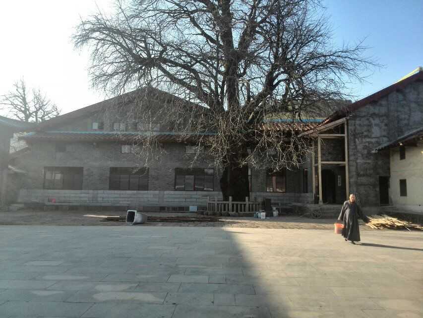 信阳超度道场哪有-超度道场是什么意思