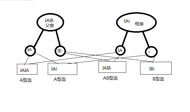 如何根据父母的血型推测孩子的血型?