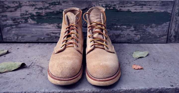 (red wing 8167犬标.