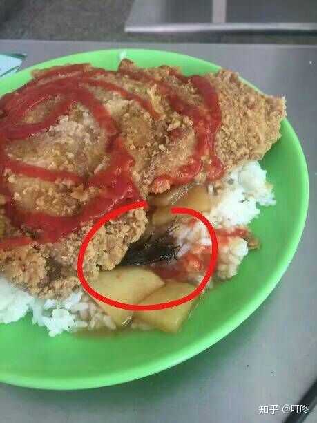 看到好多提问外卖有多脏,我就想问问大家学校的食堂的饭干净吗?