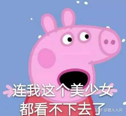 有没有什么可爱又好玩的表情包？