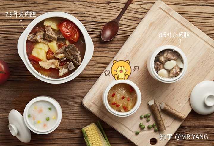 推荐一款好用美味的煲汤锅或电炖锅 知乎 推荐一款好用美味的煲汤锅或电炖锅 知乎