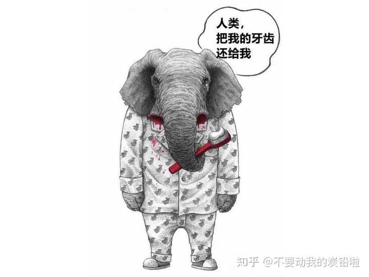 保护野生动物的优美句子 保护动物的优美句子 关于保护动物的名言