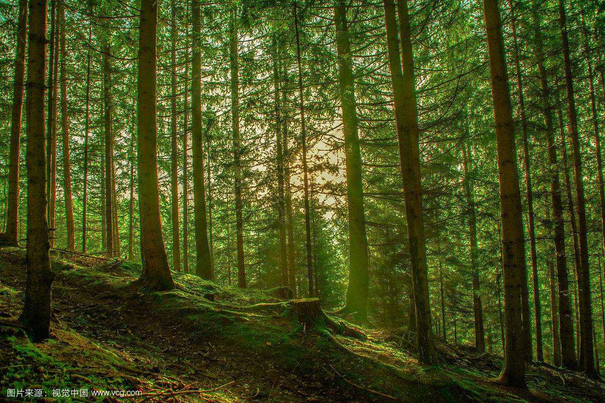 不净观,还有白骨观我也修过,事实证明,可能这种方法不适合我,后来我