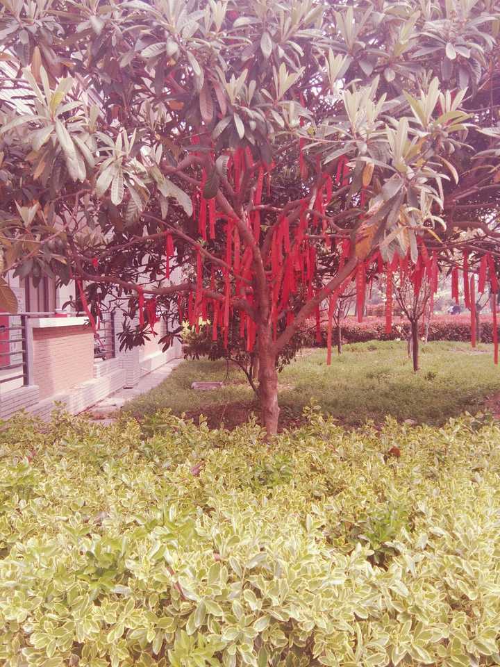 二本真是(~_~;) 想去西安外国语  如果不行  愿意再吃一年苦 心态常崩