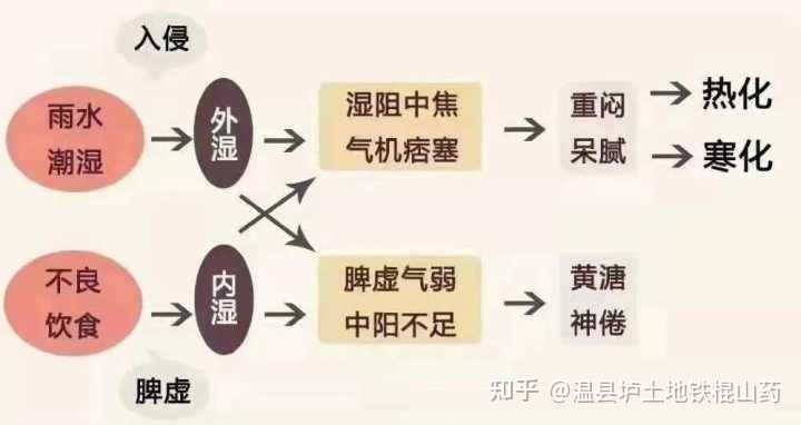 湿气重，怎么排湿气？