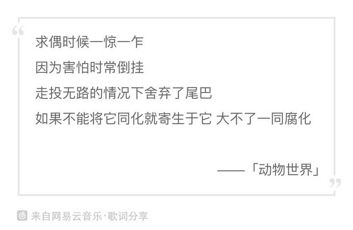 如何评价 动物世界 这首歌 知乎