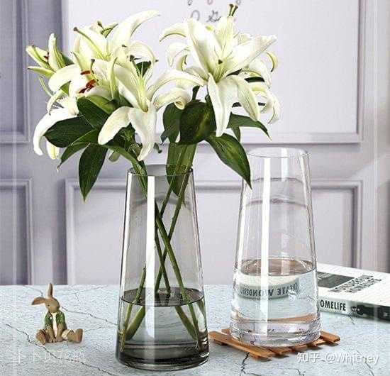 想买一个插百合的花瓶 看了好久 始终没有那种很中意的 你们有什么推荐么 知乎