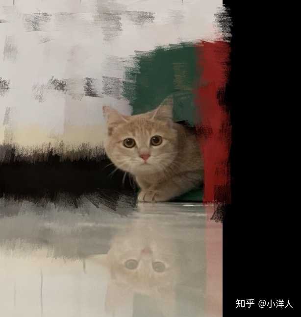 我家这只就是偏奶茶色的橘猫 巨可爱