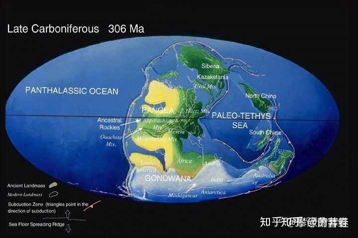 地球经历过几次冰河时期 对物种演化产生了哪些影响 知乎