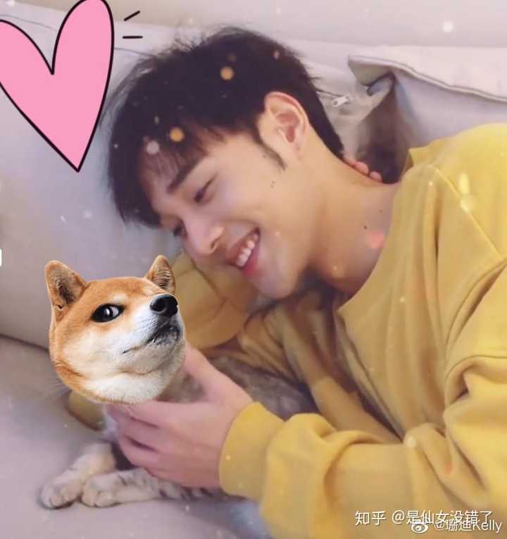 如何评价网剧《一夜新娘》男主袁昊?