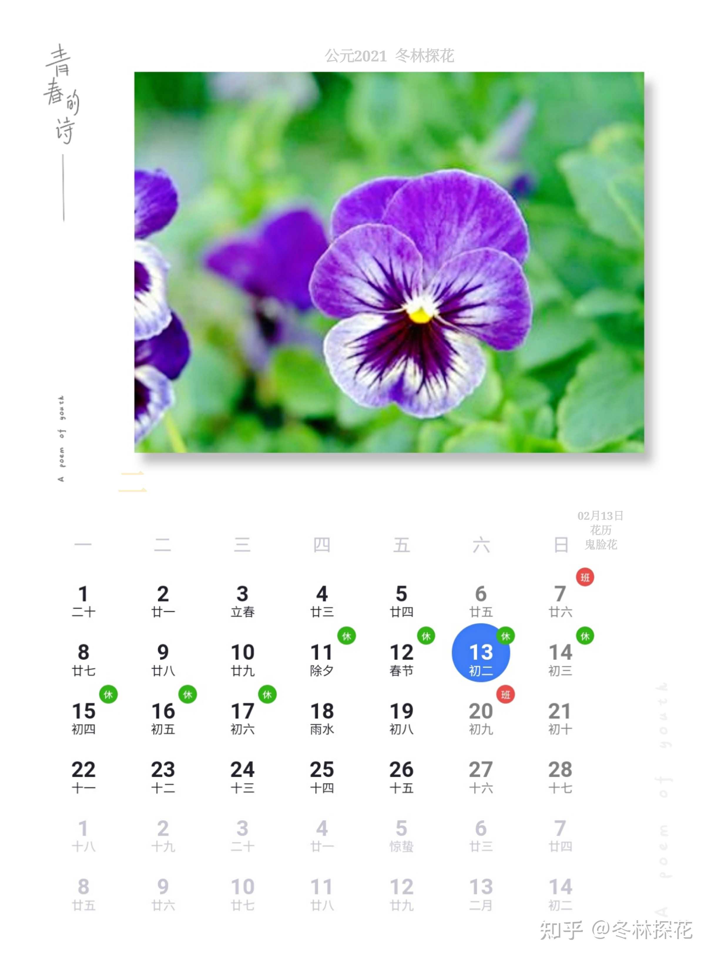 冬林探花 的想法: 02月13日花历,鬼脸花 - 知乎