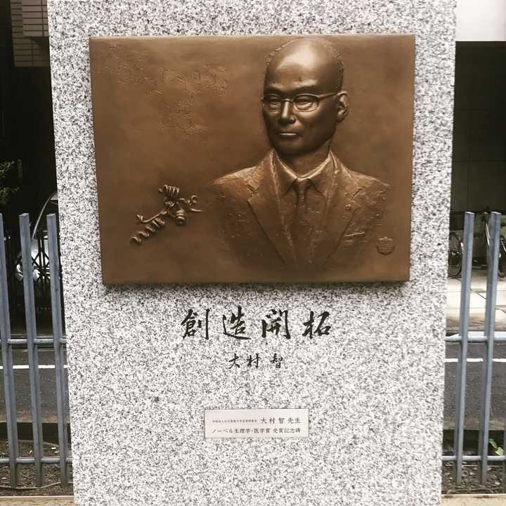 日本女子美术大学如何 Kiki Ou 的回答 知乎
