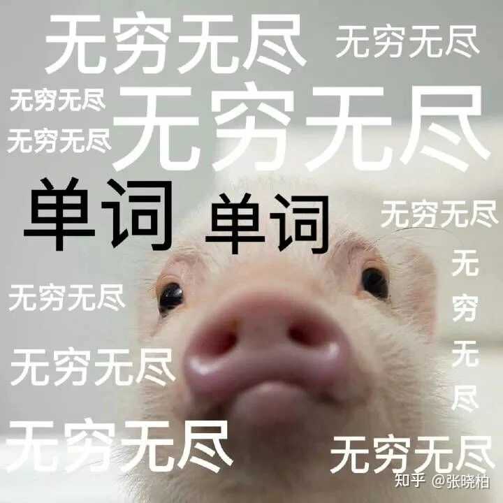 高中英语如何从30 40分零基础在一百天内提高 知乎 高中英语如何从30 40分零基础在一百天内提高 知乎