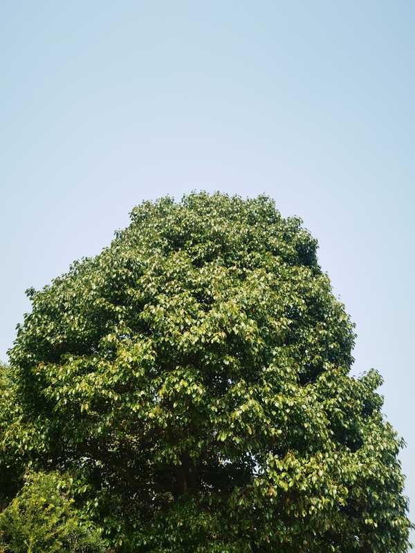 你享受一个人的独处时间吗?