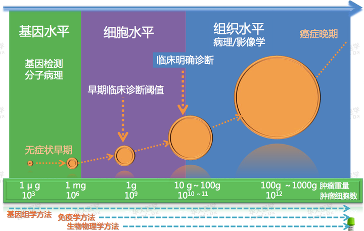 年轻人如何预防和及时发现癌症 知乎