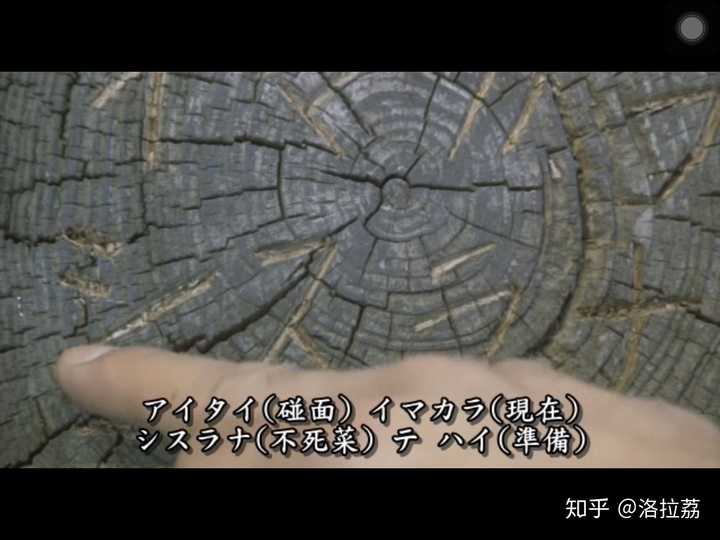 如何评价日剧 圈套 洛拉荔的回答 知乎 如何评价日剧 圈套 洛拉荔的回答 知乎