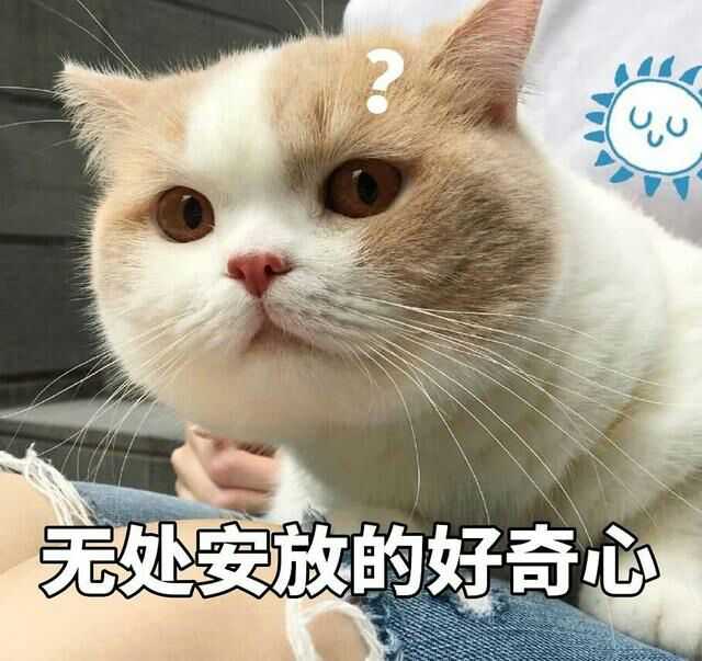 手機裡有哪些搞笑 欠揍 可愛的表情包 ?