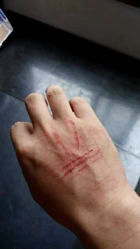 猫打架时喜欢用手扇对方,真的有用吗?