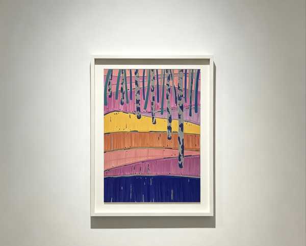 你的独居生活是怎样的？