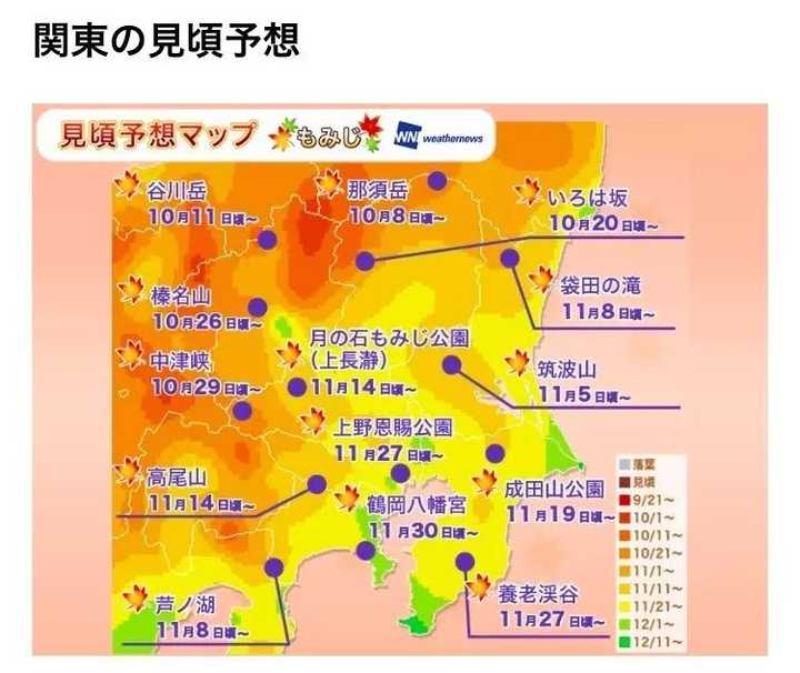 今年的日本赏枫预期谁能给我说说 知乎 今年的日本赏枫预期谁能给我说说 知乎