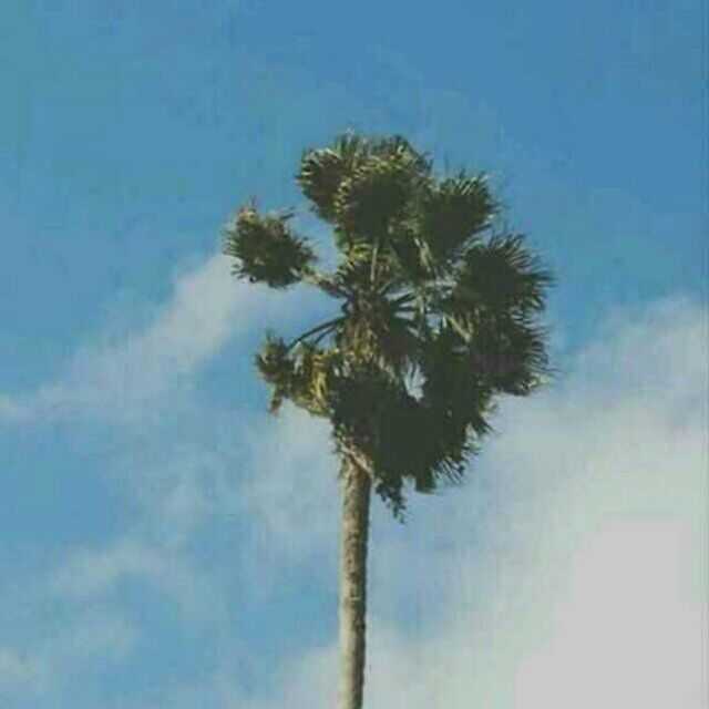 有哪些不可爱不卡通但是很特别的情侣头像?