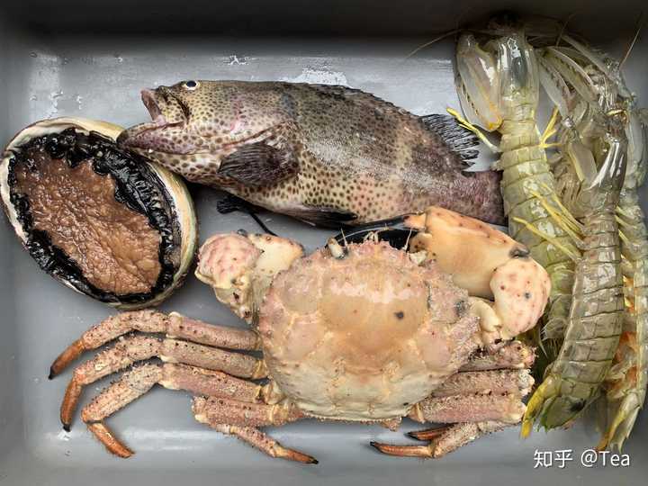 帝王蟹是不是螃蟹 知乎 帝王蟹是不是螃蟹 知乎