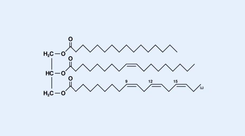 脂肪酸分子结构式图片