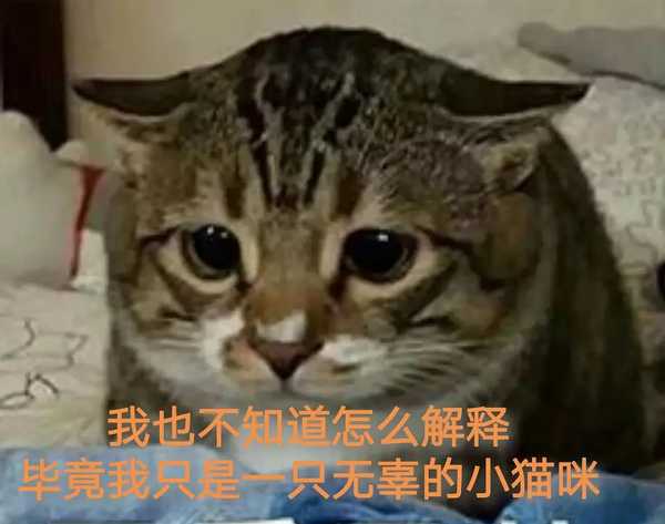 能否使用RAG技术来解决大模型的长期记忆问题？