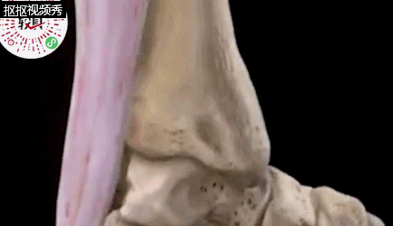 Cba总决赛第三场 易建联跟腱断裂 你有什么想说的 知乎