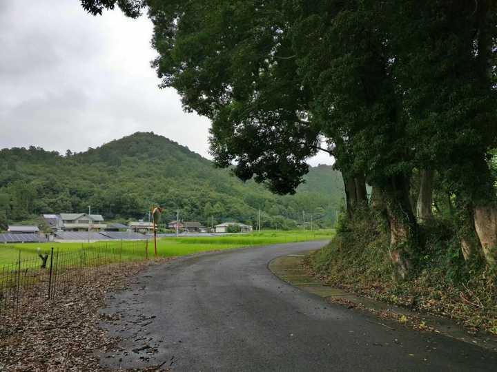 去桦崎八幡宫(缘之空中叉依姬神社的原型)圣地巡礼是怎样一种体验?