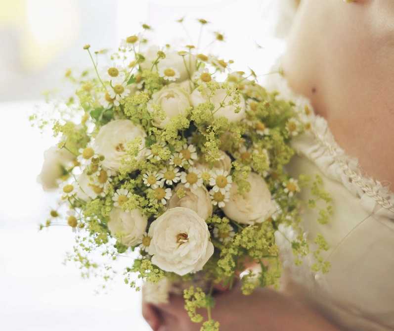 荞麦花的花语是什么