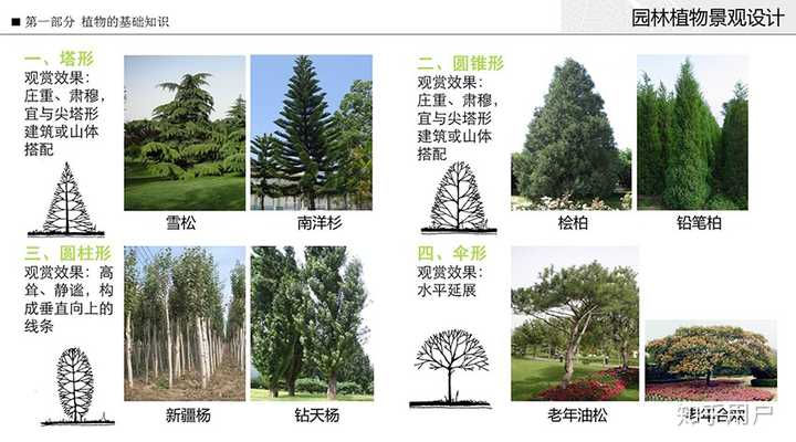 如何系统的自学园林植物配置? - 知乎