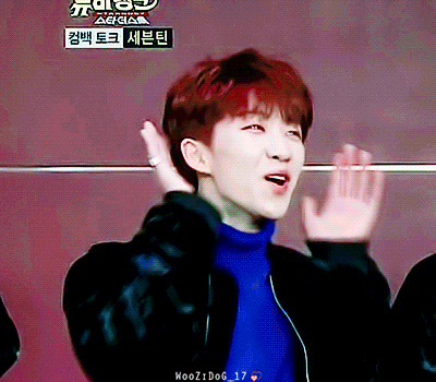 个人认为SEVENTEEN门面是?或小十七中最喜