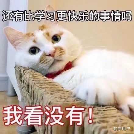 你知道哪些搞笑的古诗改编？ - 知乎