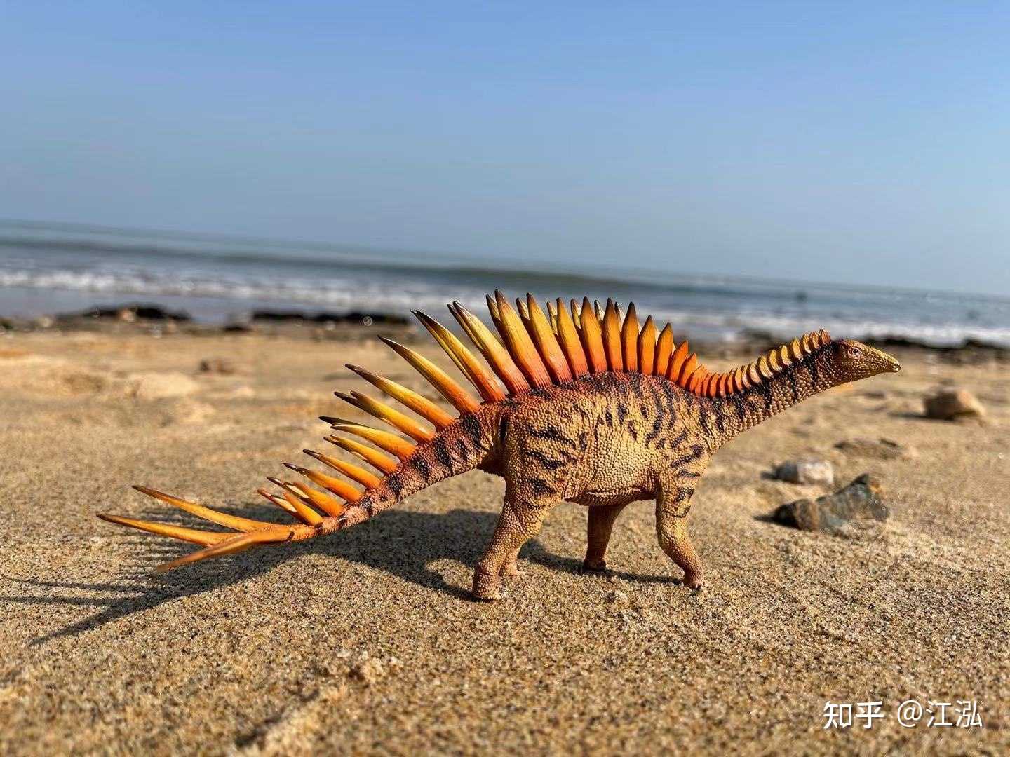 江泓 的想法: 外拍:海滩上的奇葩剑龙类 剑龙大家并不… - 知乎