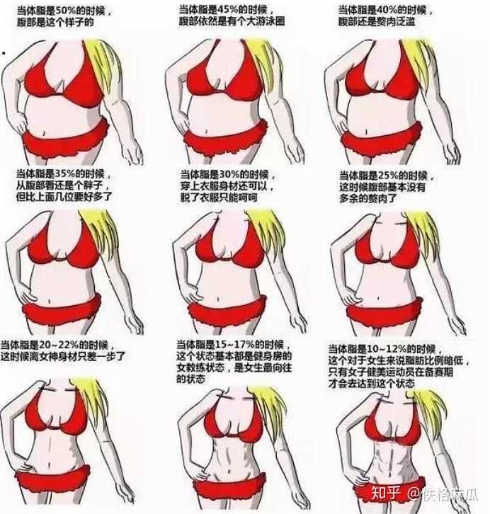 体脂称的体脂可信度多高 知乎 体脂称的体脂可信度多高 知乎