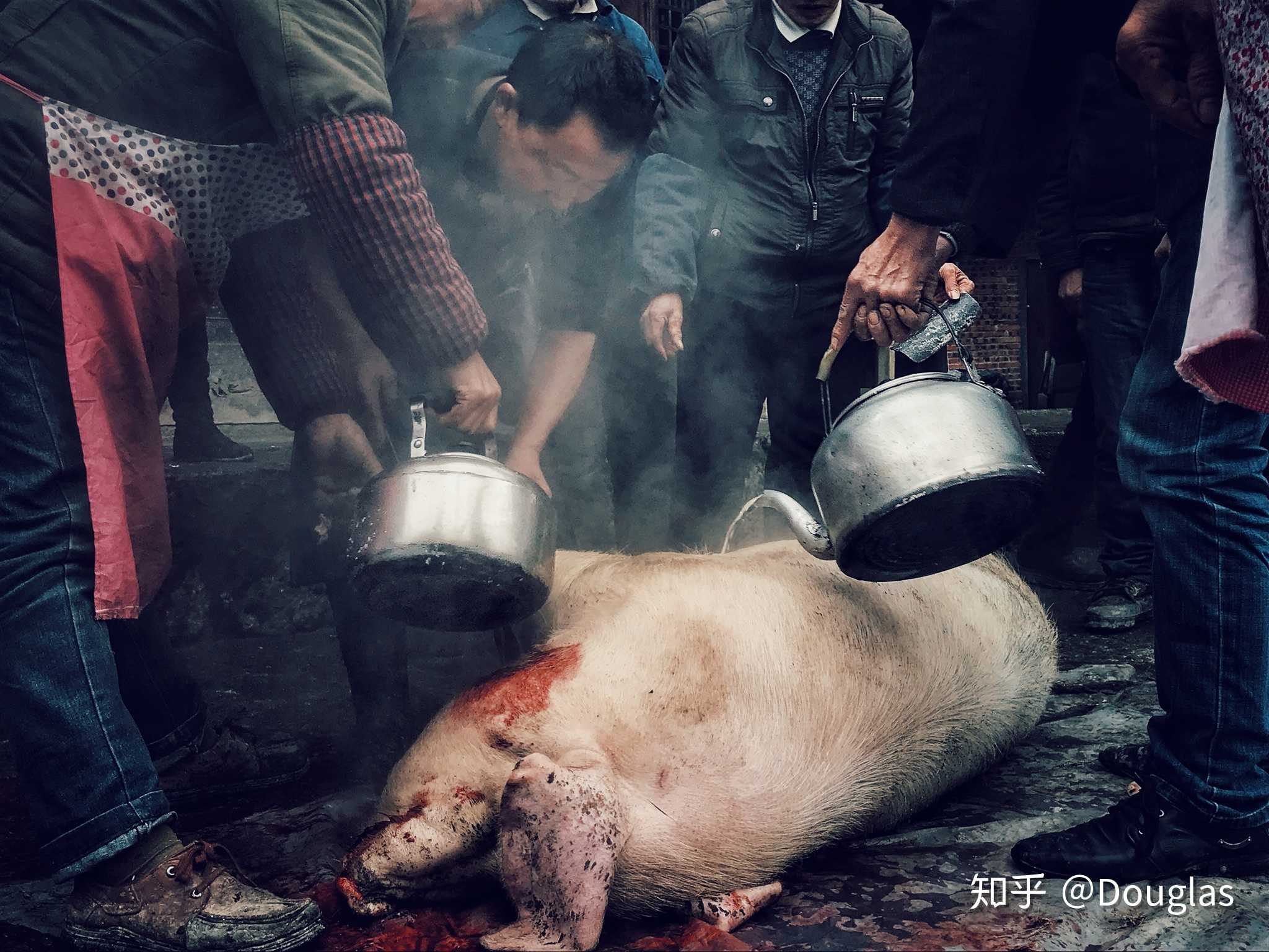 乡愁——刨汤肉