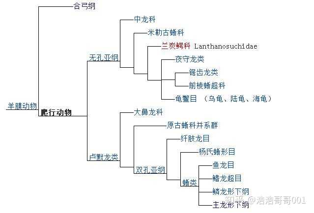 为什么会先有侏罗纪时代才有人类,物种起源不是应该从小到大进化吗?